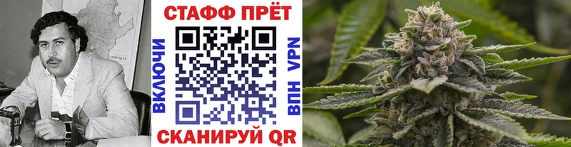 Купить закладку Alpha PVP  НБОМе  Галлюциногенные грибы  Марихуана  МЕФ  Оса