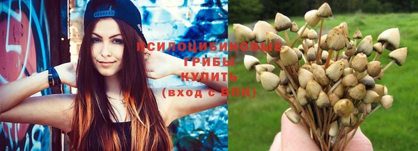 дистиллят марихуана Магас
